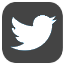 Share on Twitter
